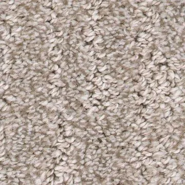 Carpet | Square Yard Carpet